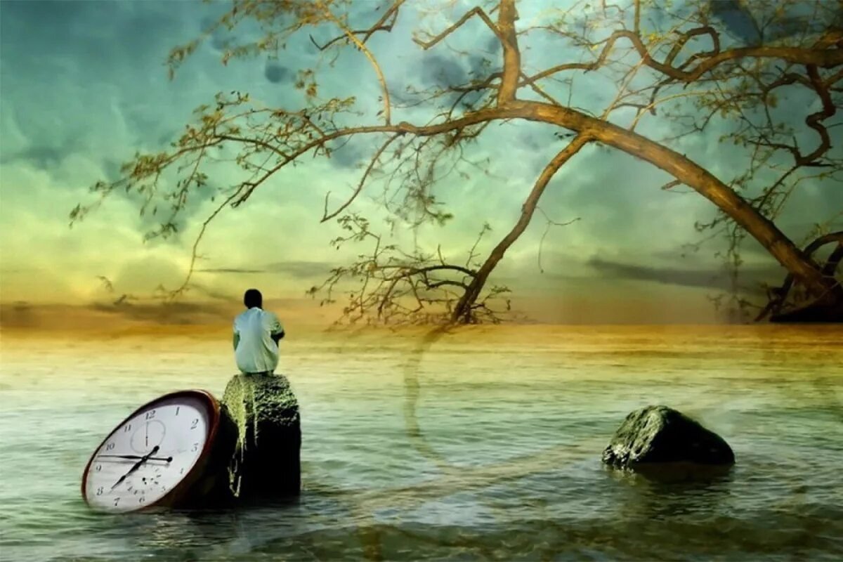 Цитаты про суету жизни