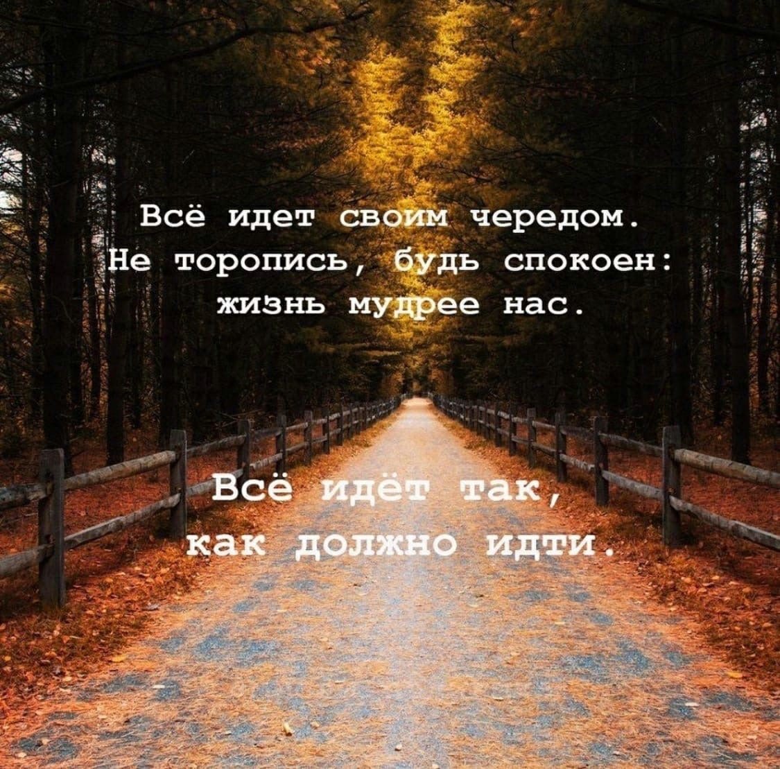 Всё идёт своим чепедом