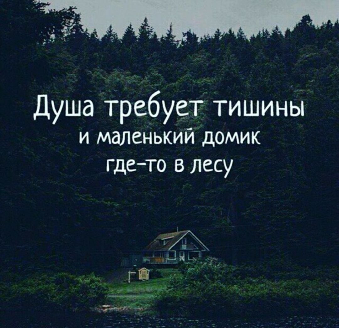 Тишина цитаты