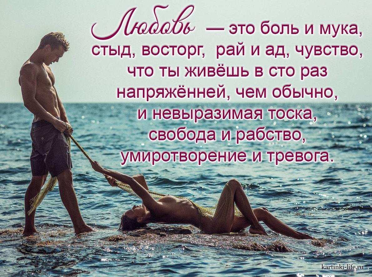 Прикольные фразы про чувства