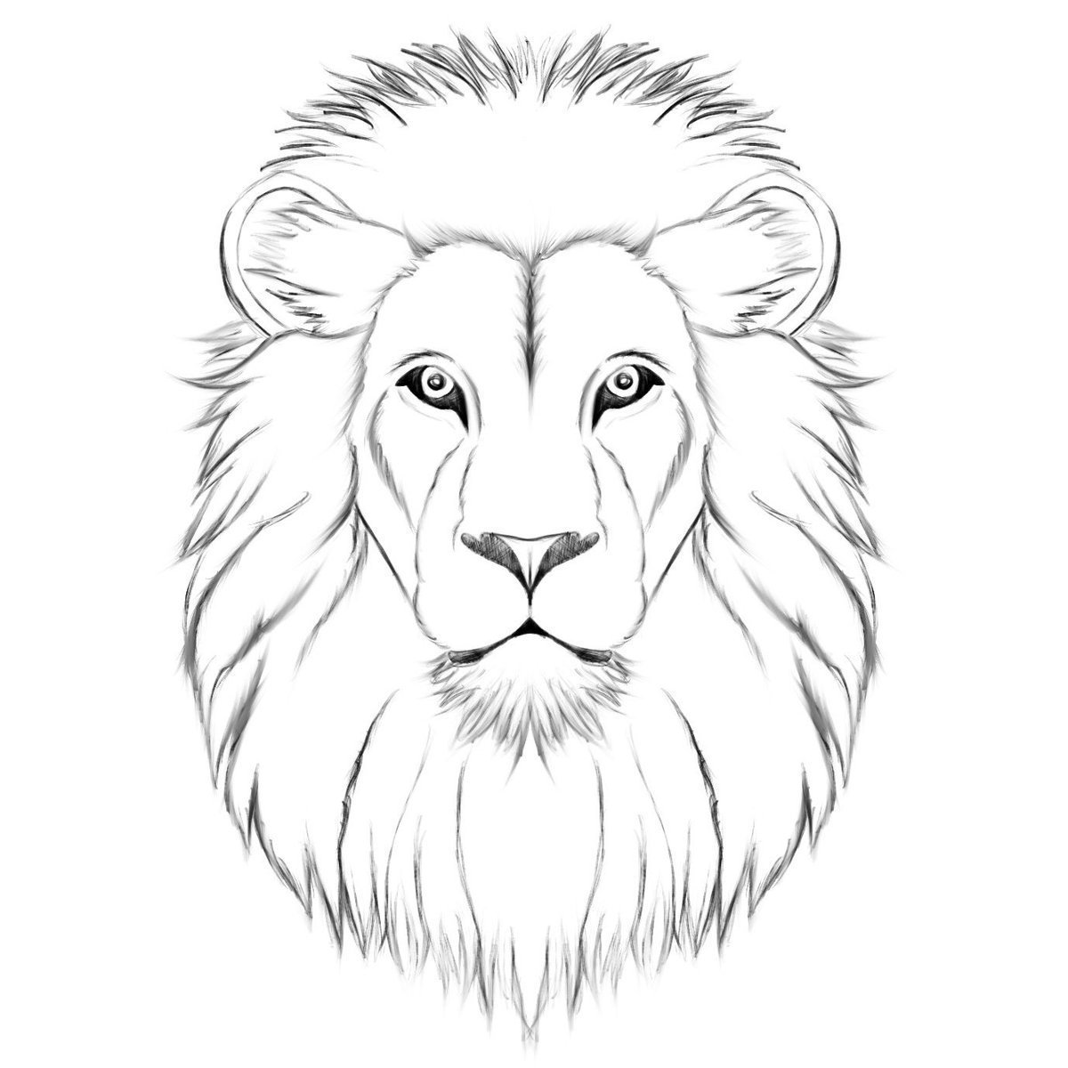Морда Льва рисунок