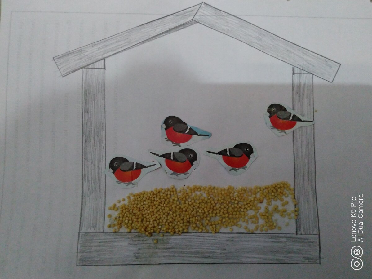 Аппликация кормушка для птиц