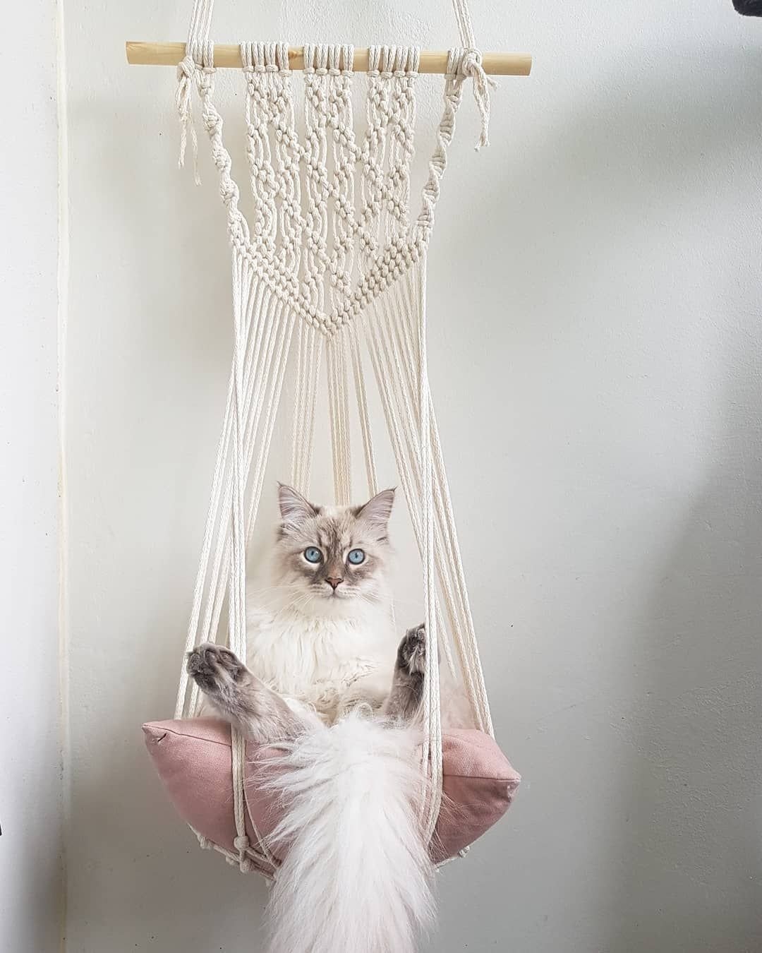 Гамак для кошек