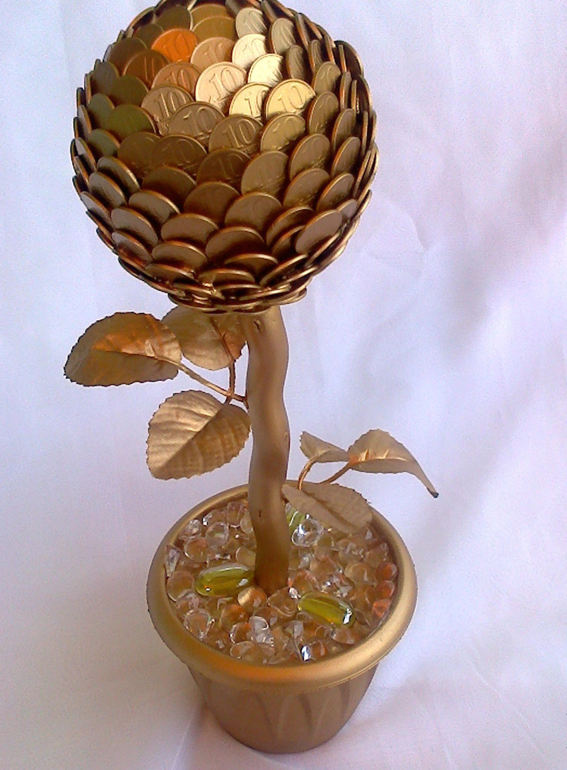 Топиарий денежное дерево