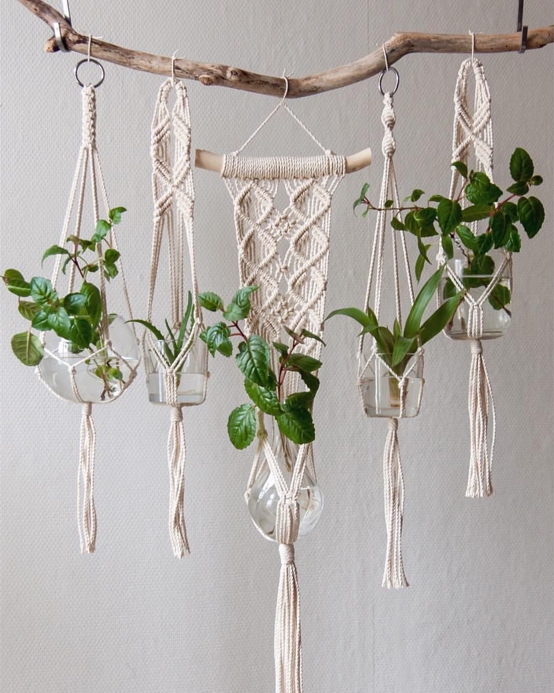 Подвесное кашпо макраме в интерьере