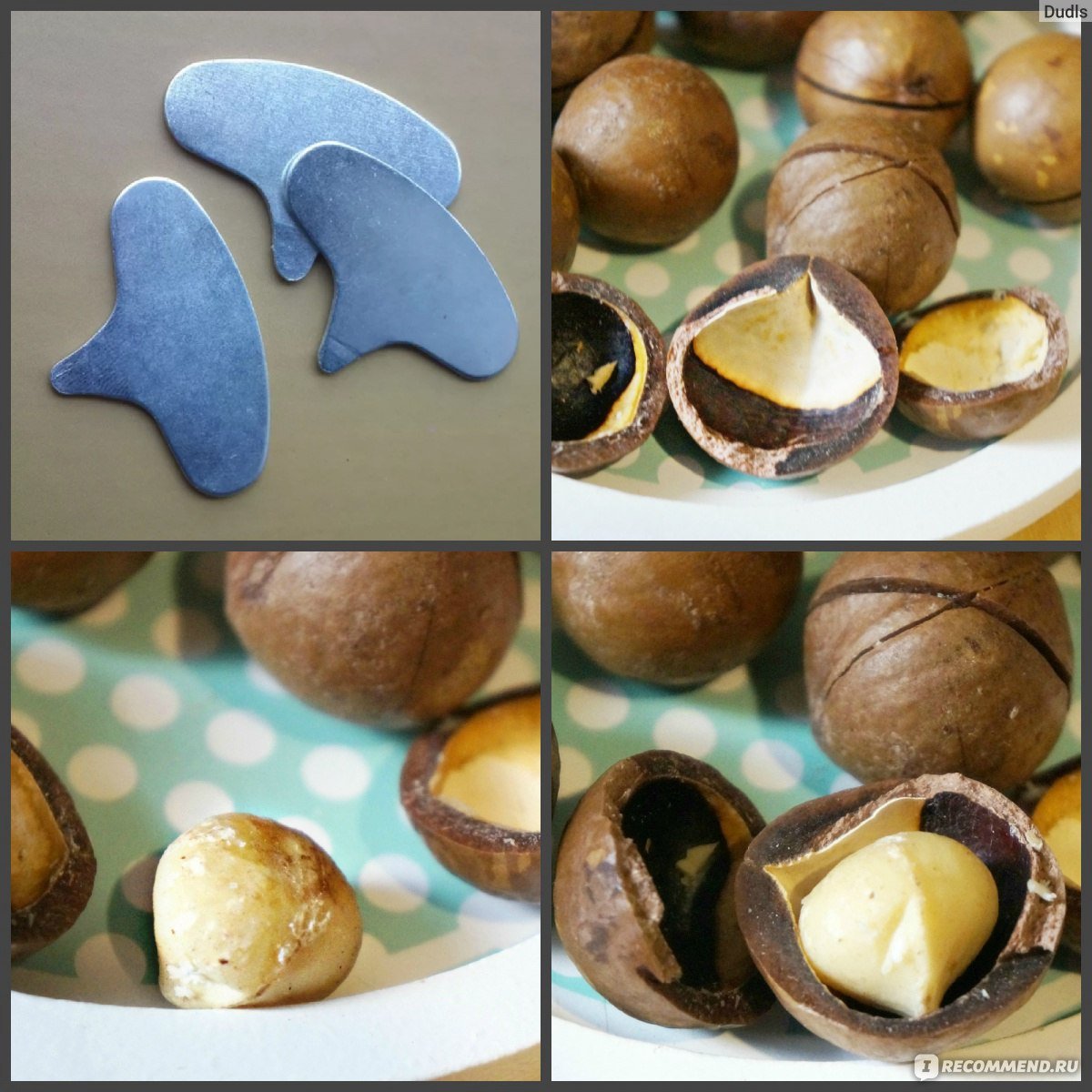 Орех с ключиком макадамия