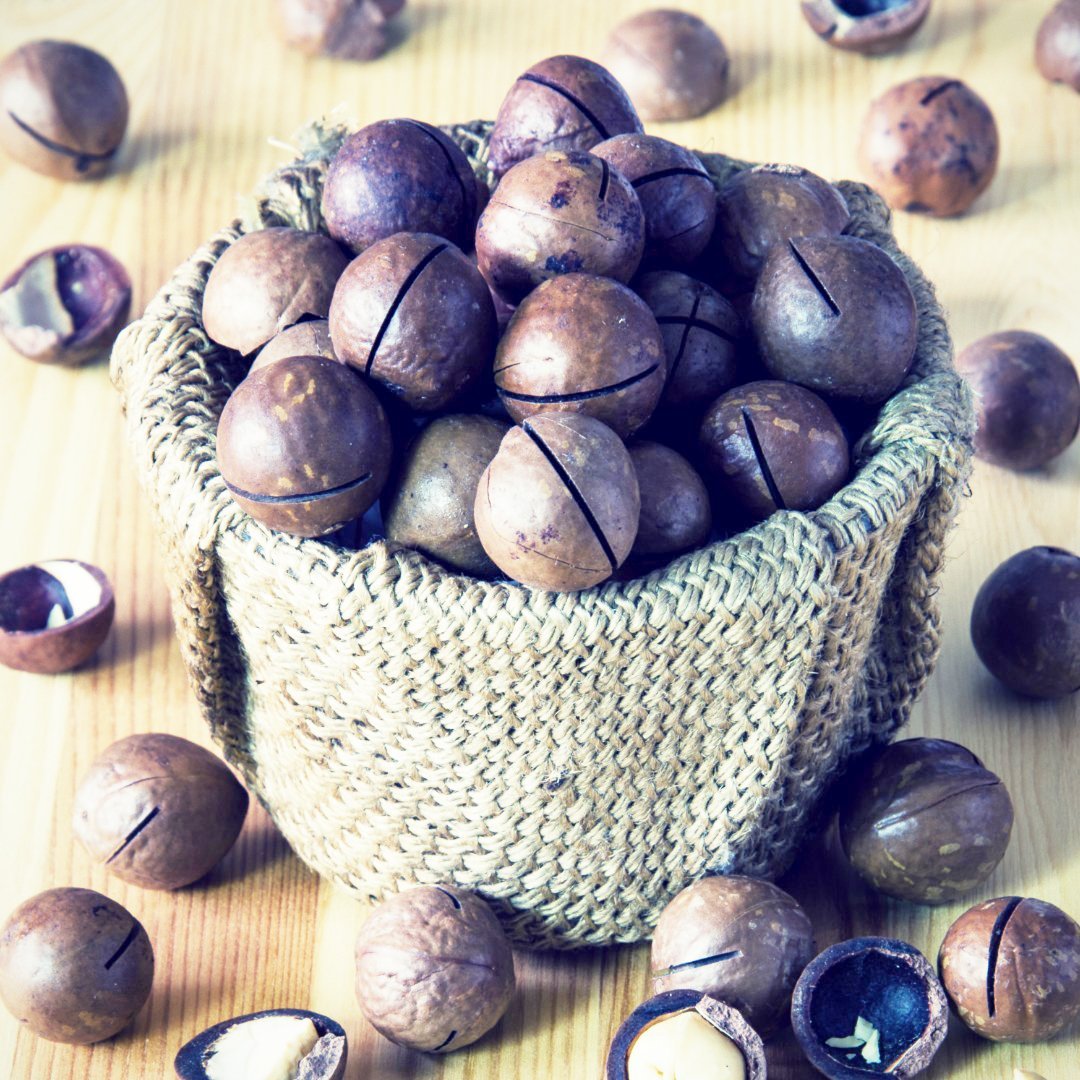 Поделки из скорлупы ореха макадамия