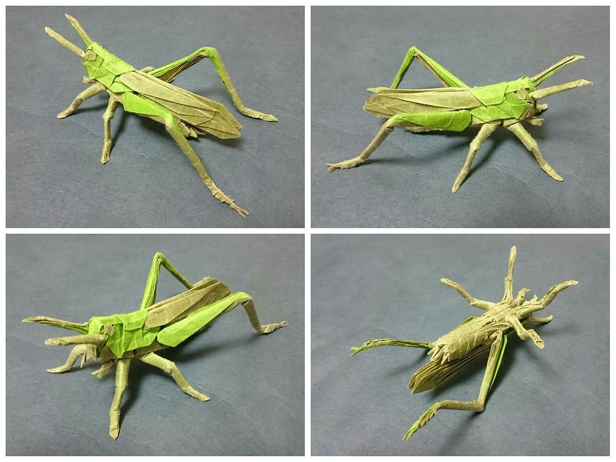 Оригами Саранча