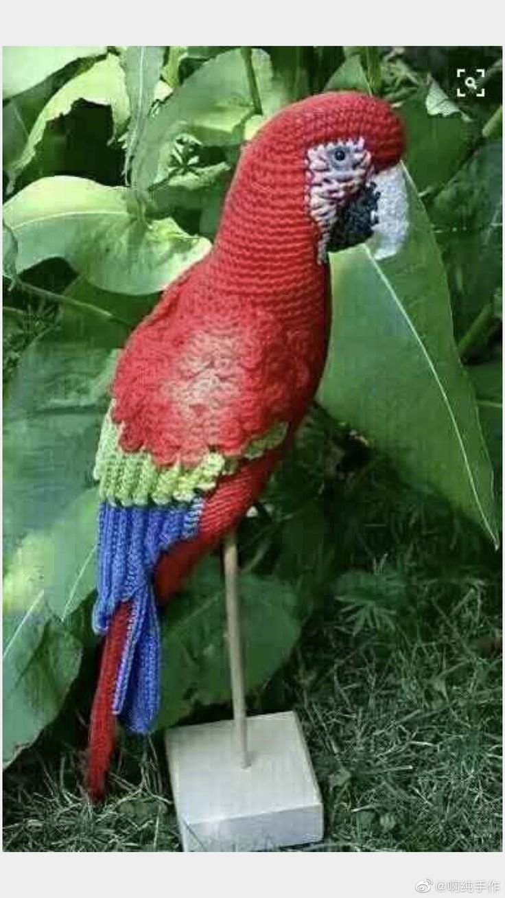 Большой попугай ара амигуруми