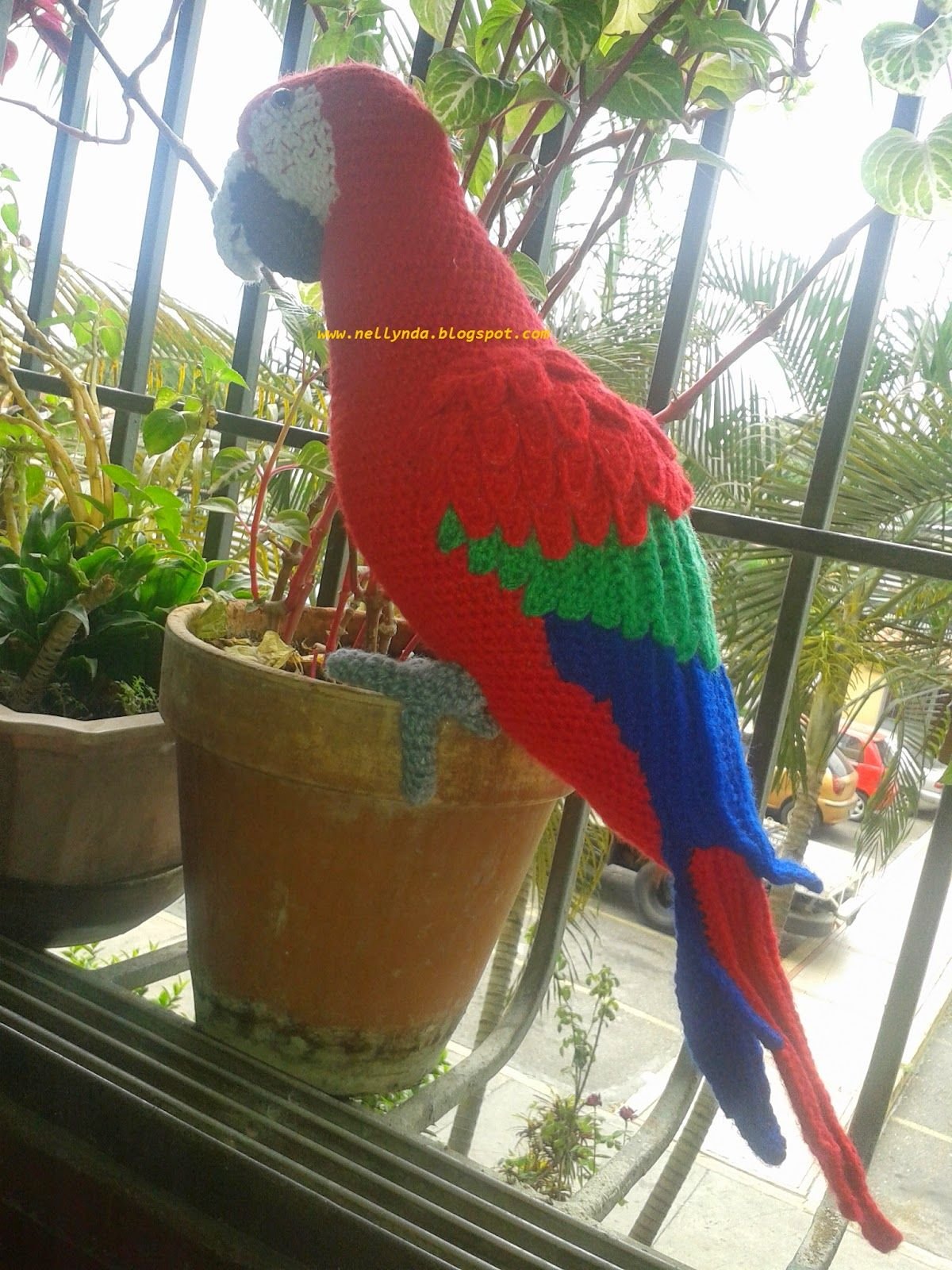 Попугай крючком