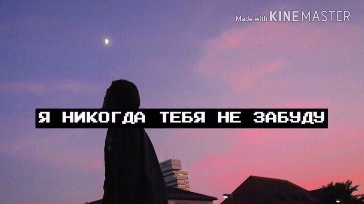 Сохры цитаты