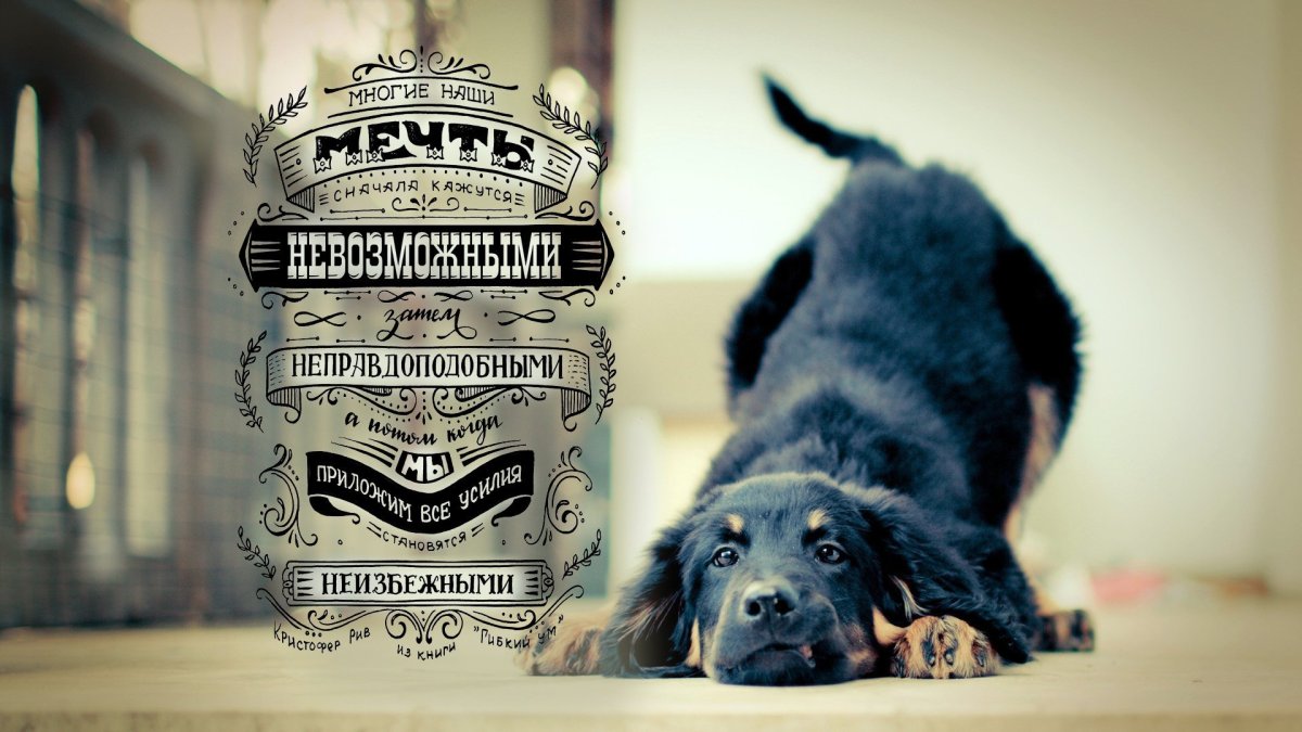 Мотивирующие обои