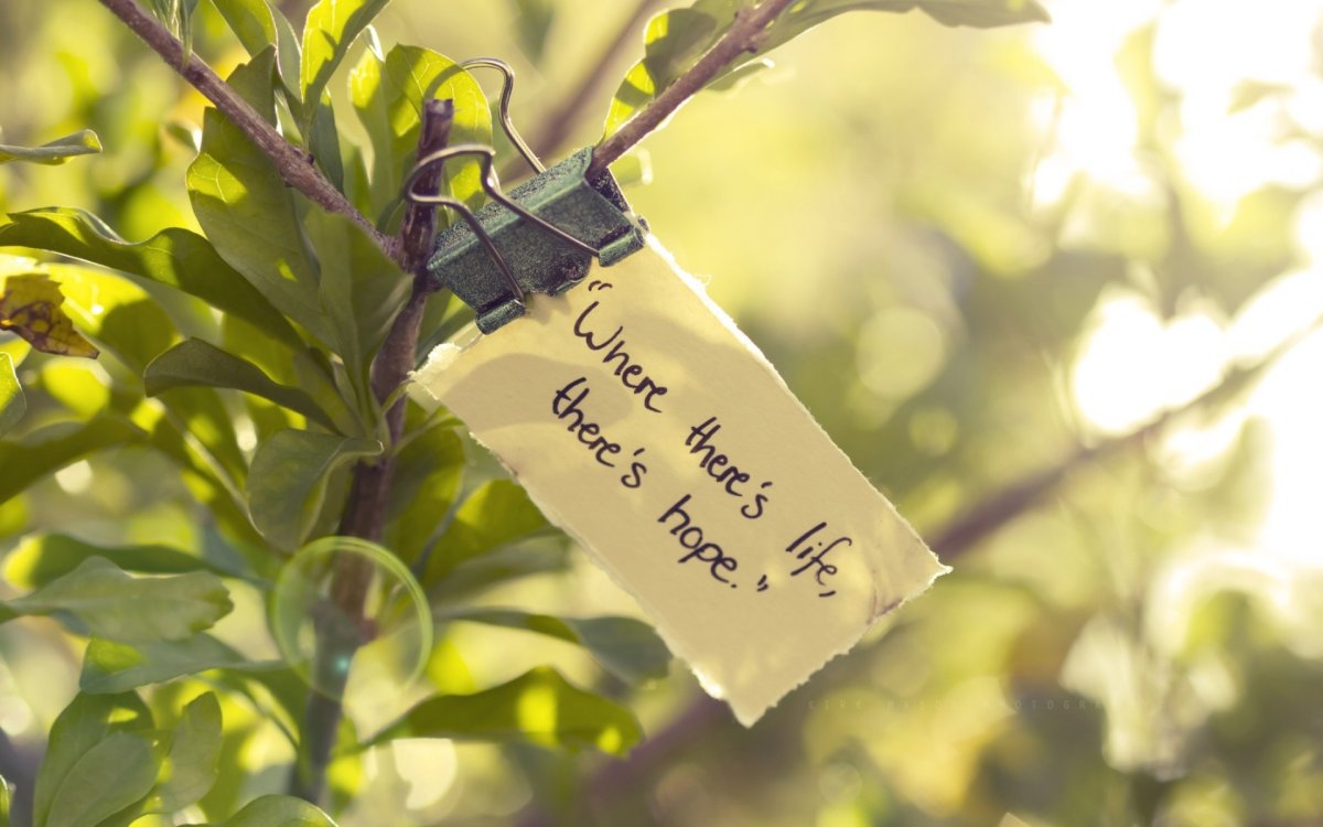 Вдохновляющие обои на рабочий стол