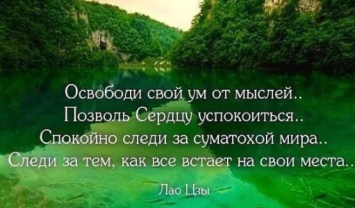 Про лес цитаты со смыслом короткие и природу