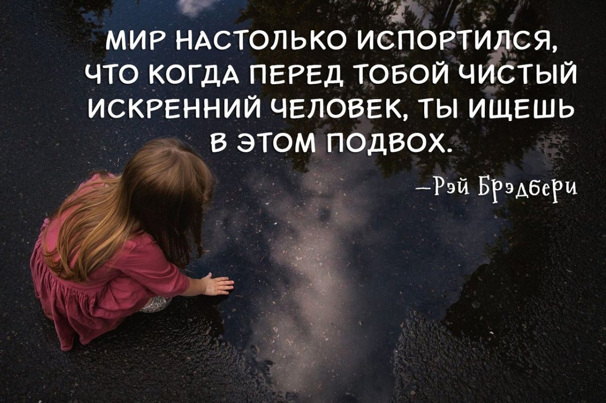 Искренность цитаты