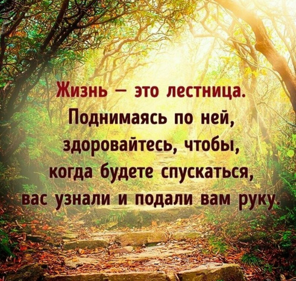 Умные цитаты