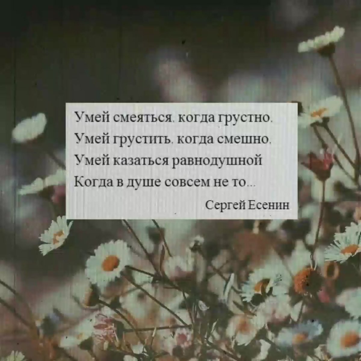 Грустные стихи