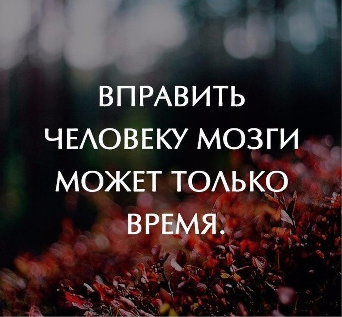 Вправить человеку мозги может