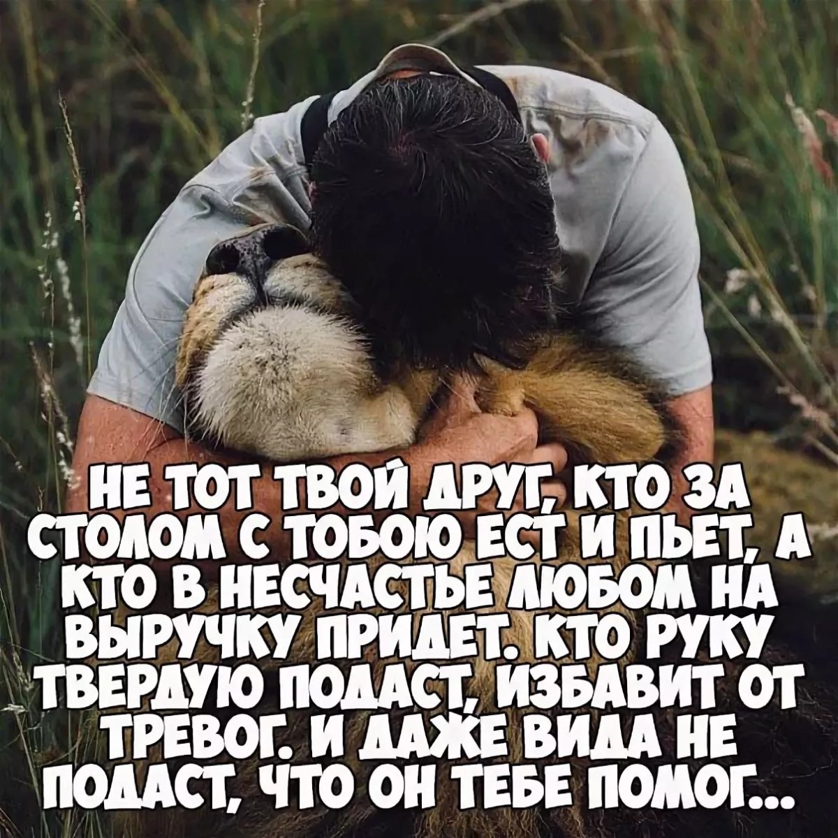 Цитаты про предательство друзей