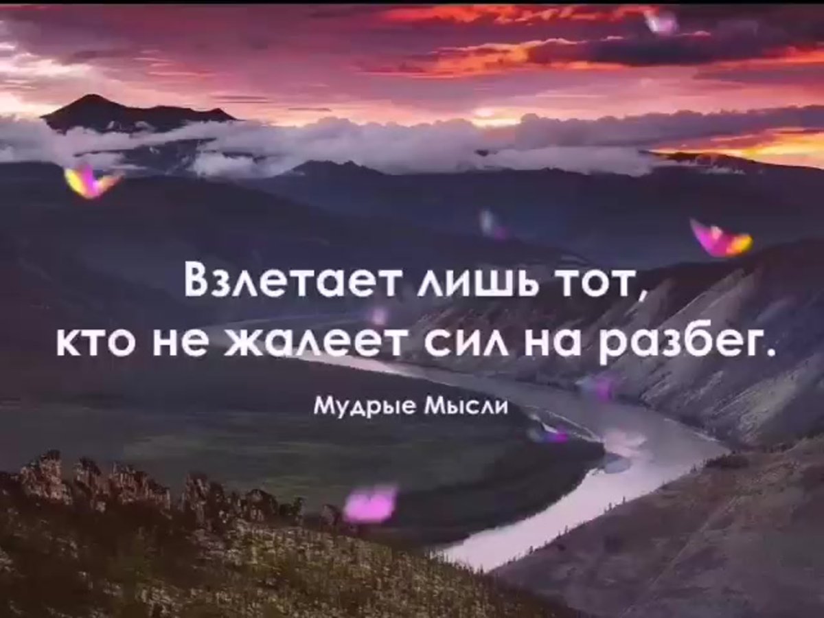 Красивые цитаты