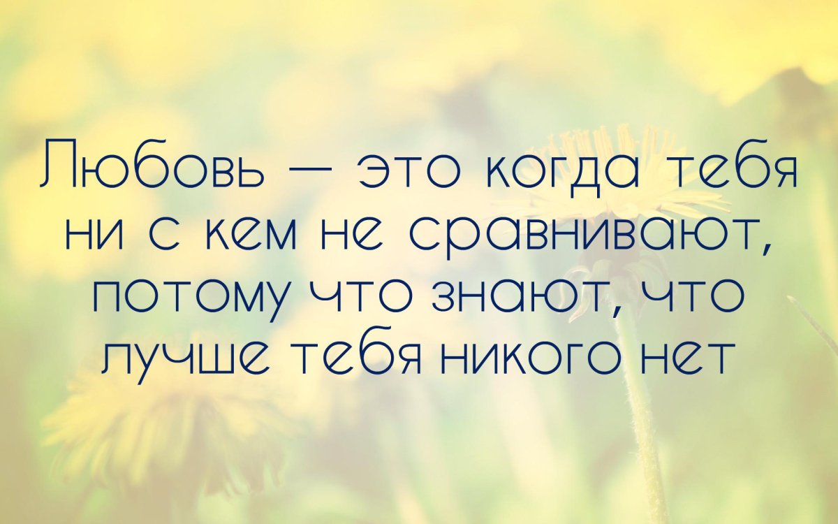 Цитаты про семью