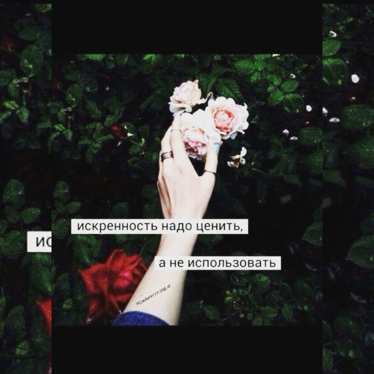 Цитаты для девушек в Инстаграм