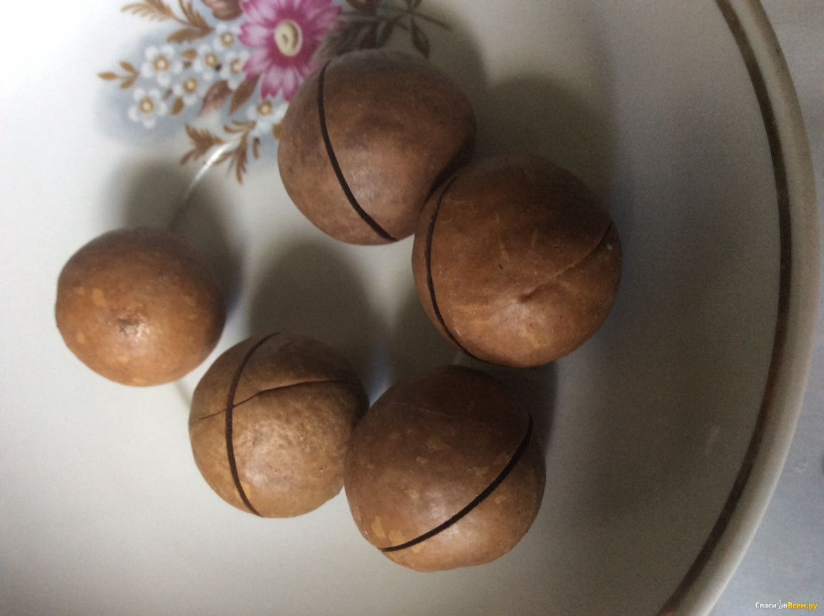 Самый крепкий орех в мире макадамия