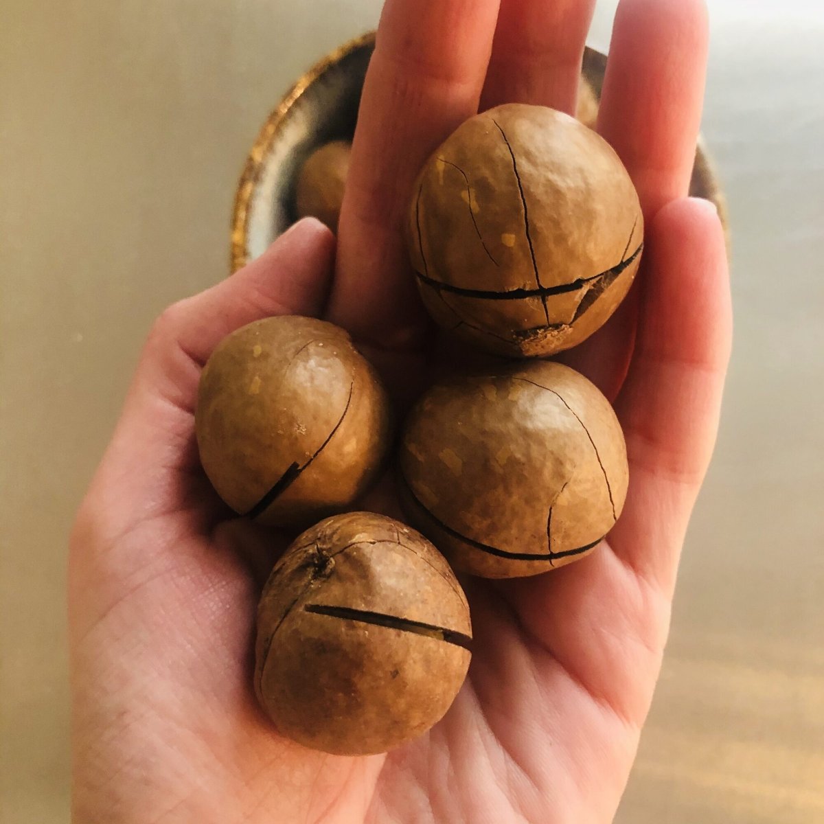 Макадамия поделки