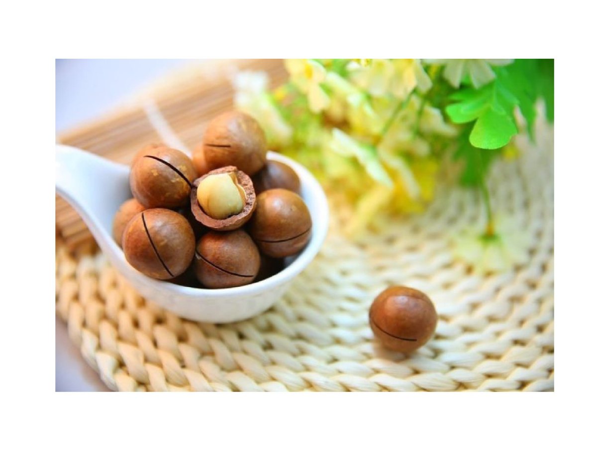 Макадамия в скорлупе 500г