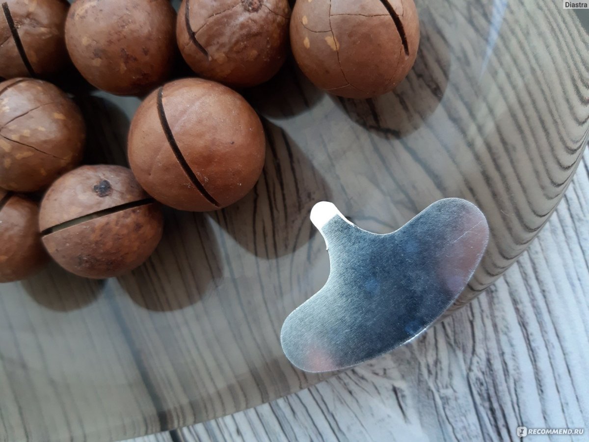 Поделки из макадамии