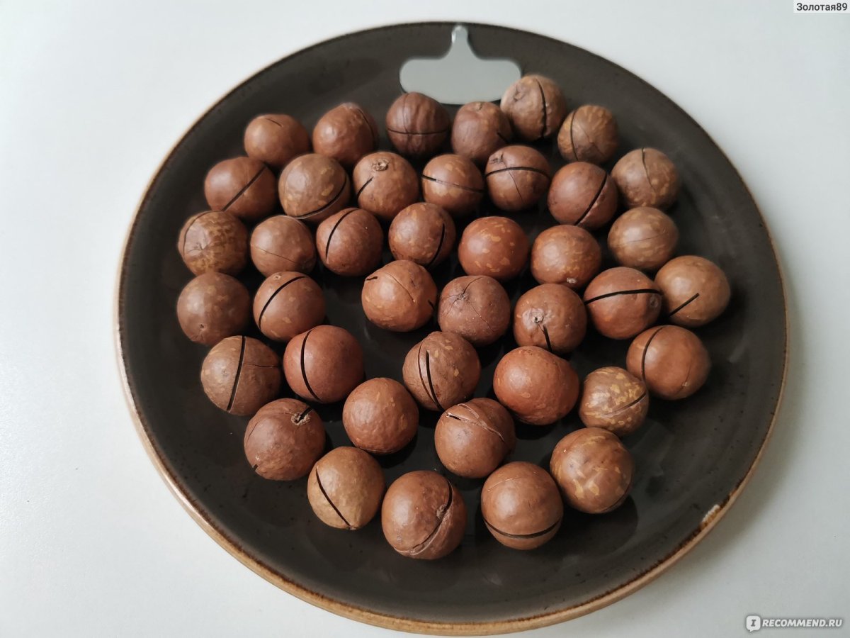 Разные экзотические орехи