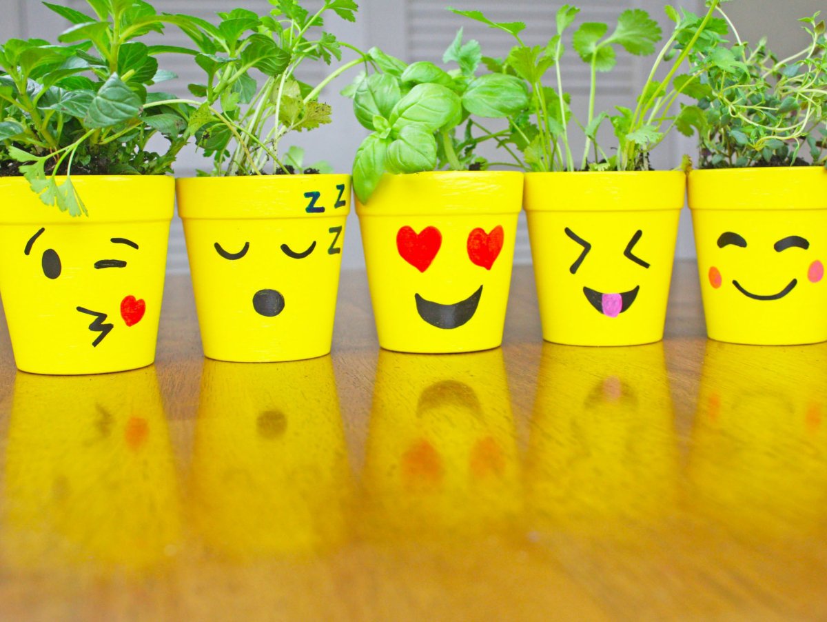 Горшочки для рассады