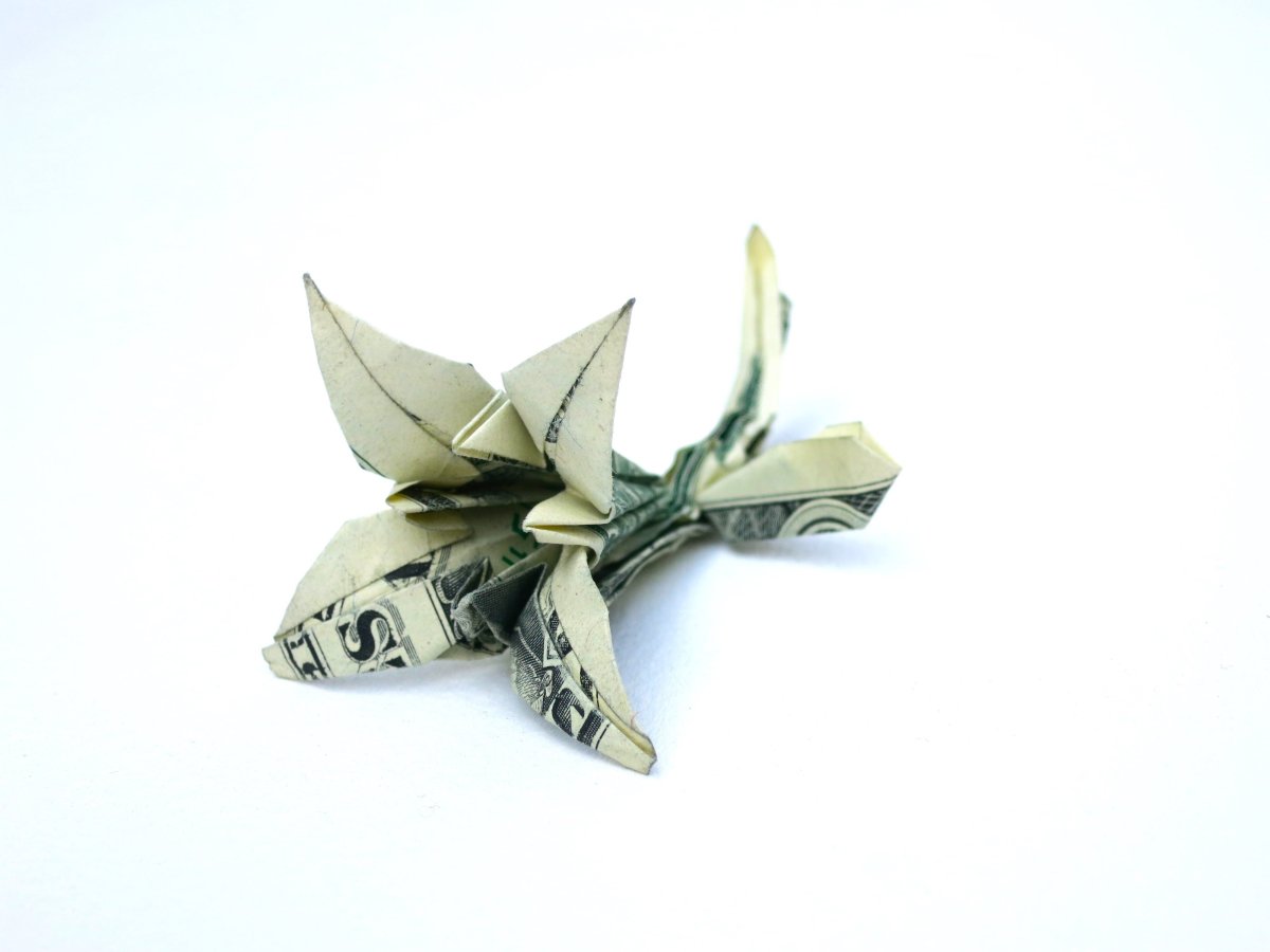 Цветы из денежных купюр