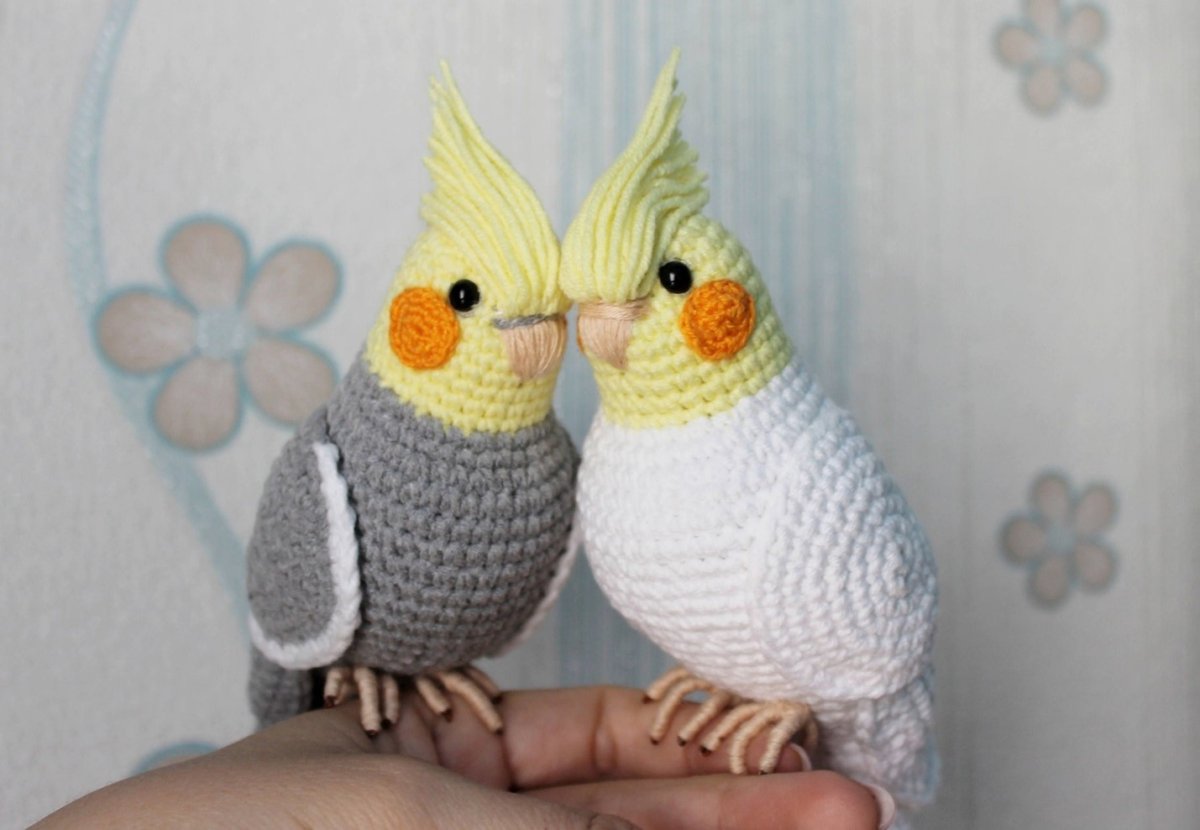 Вязаный попугай корелла