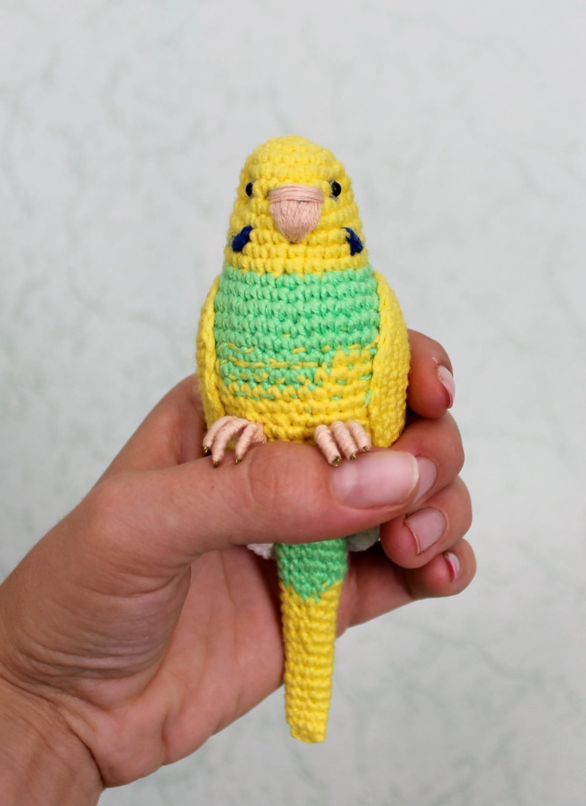 Попугай крючком