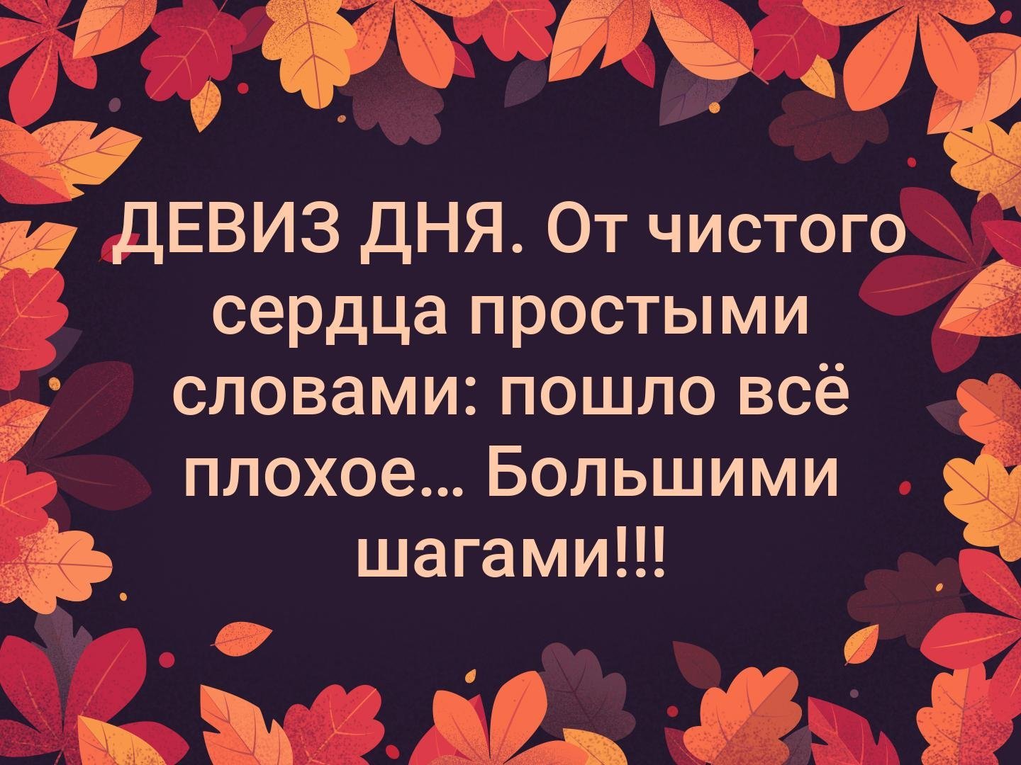 Девиз дня прикольный - 57 фото