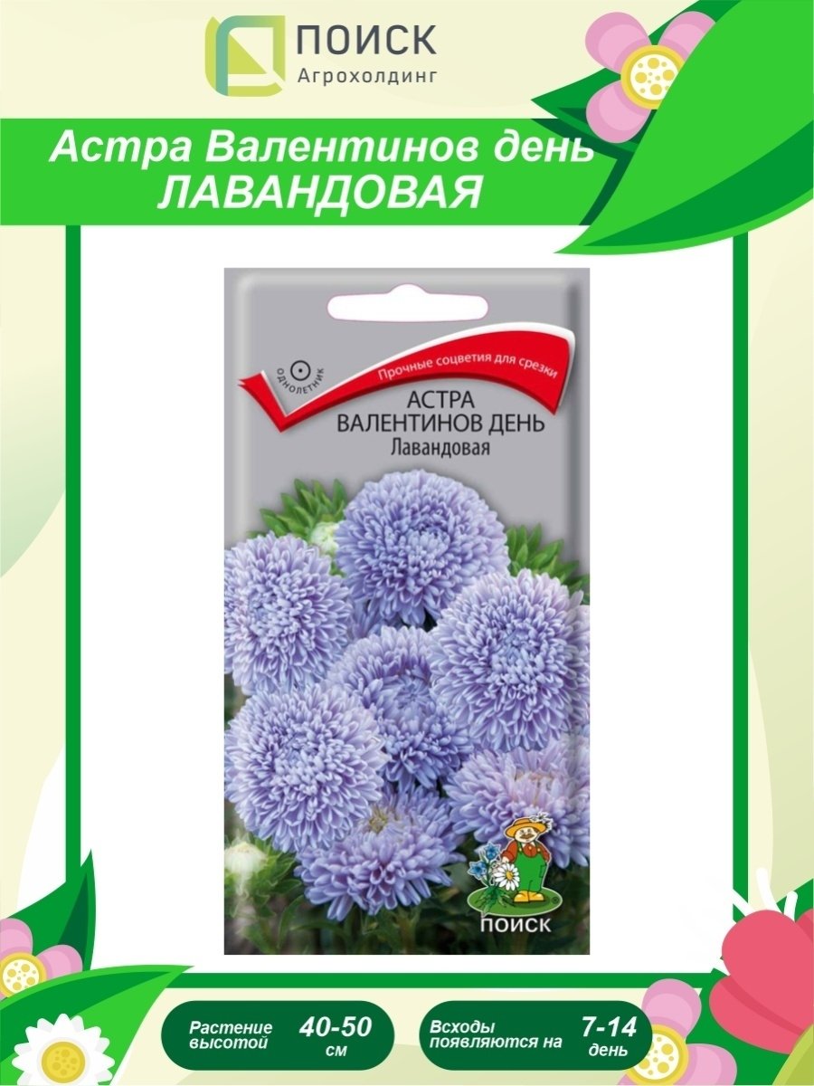 Астра Валентинов день