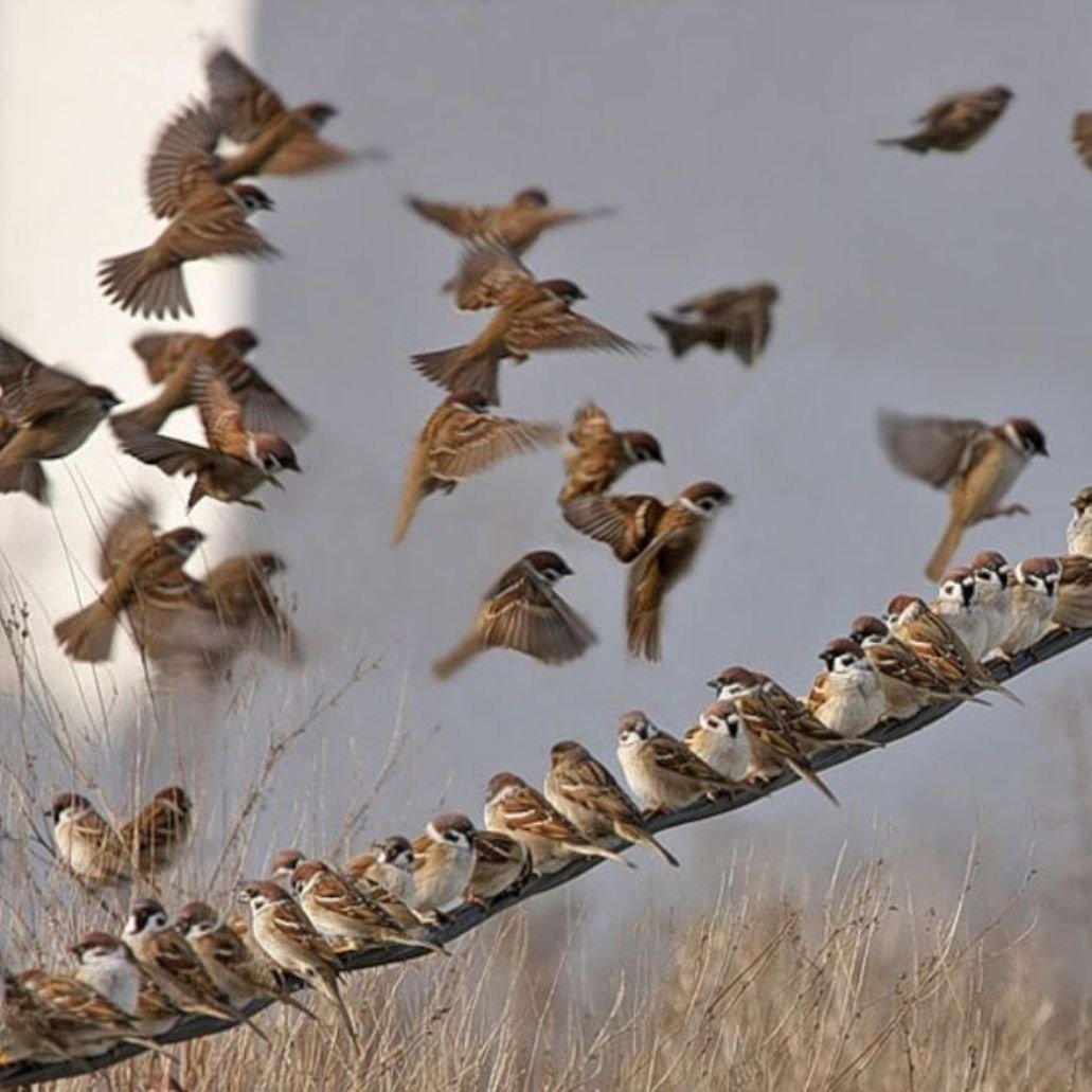 Семин день картинки красивые