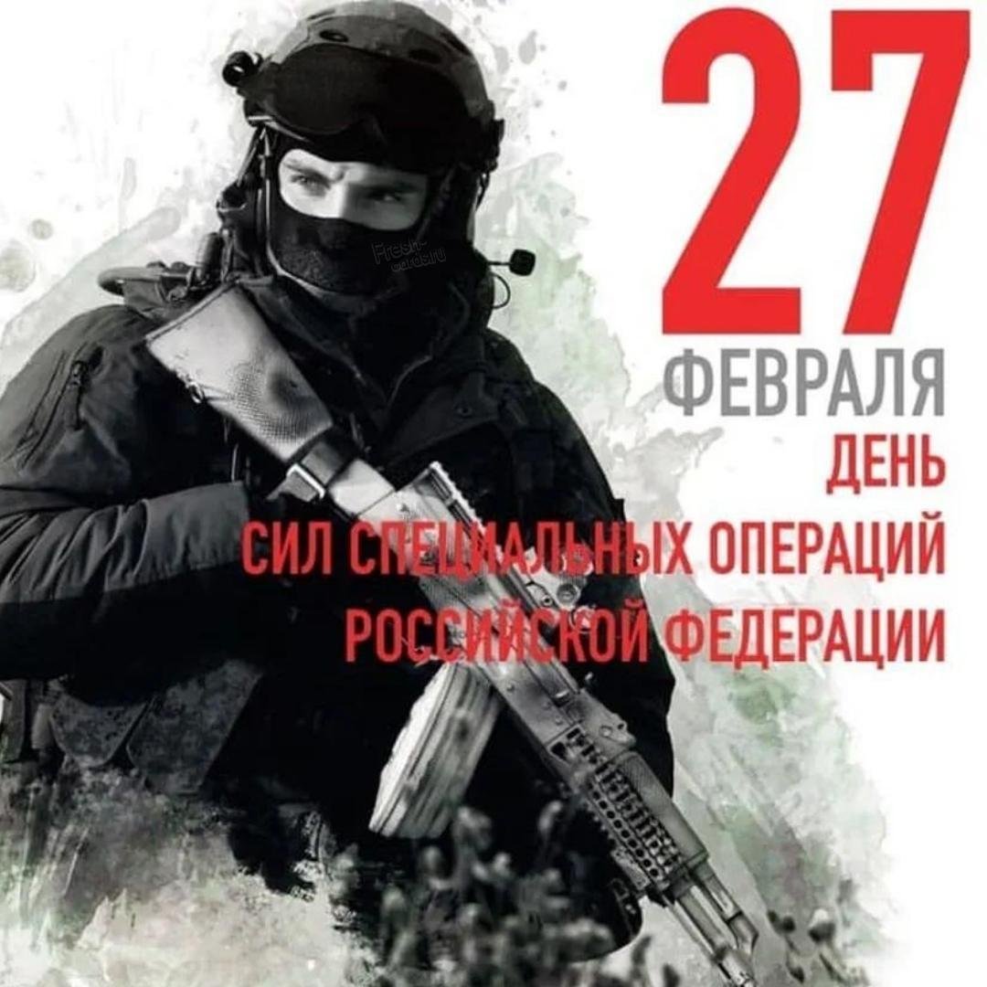 День ССО 27 февраля