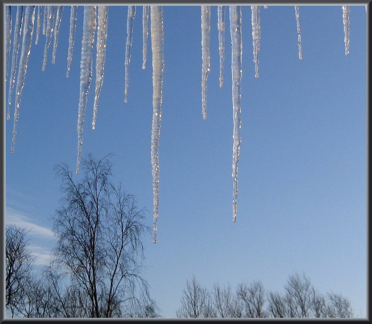 Весенняя капель