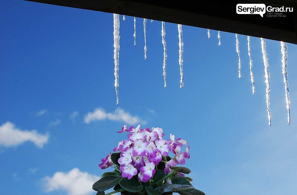 Весенняя капель