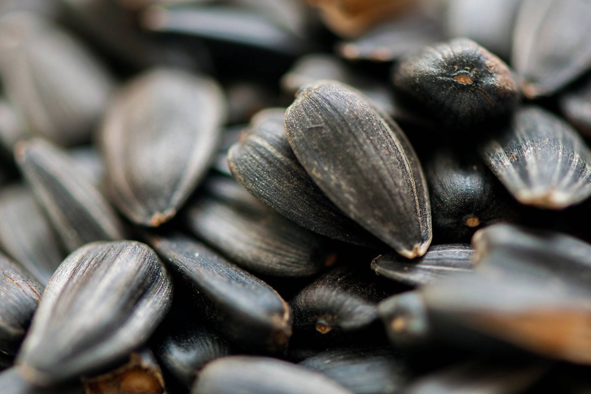 Сырые семечки