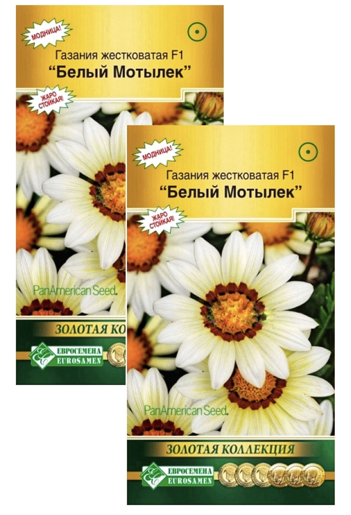 Газания белый мотылек