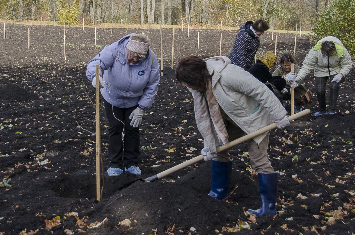 Субботник Питер