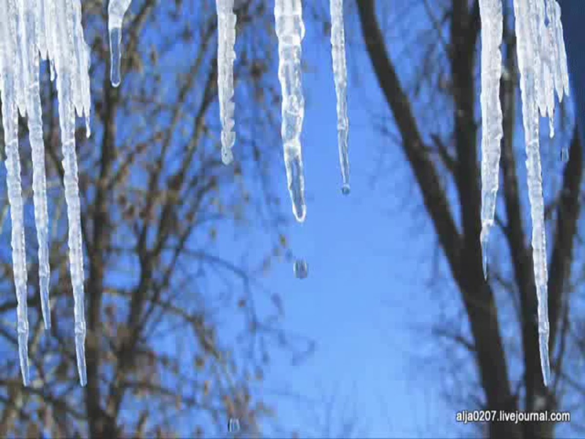 Весна капель