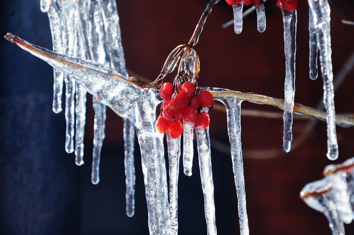 Весна сосульки