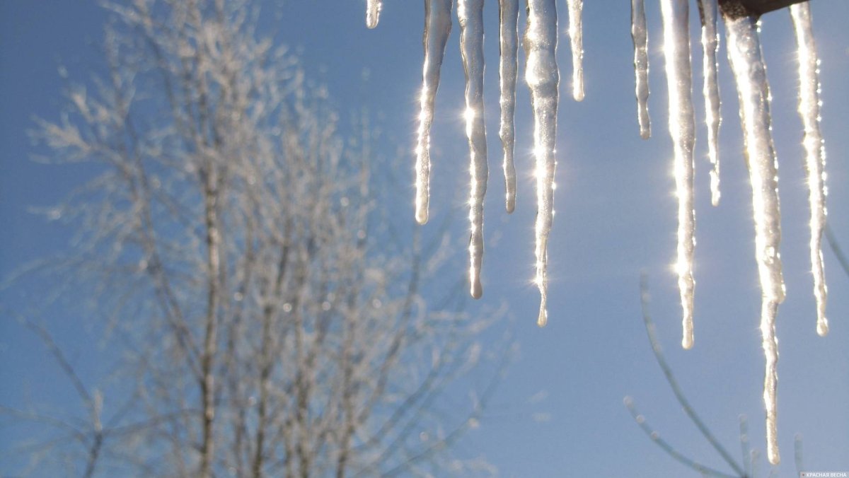 Весна капель