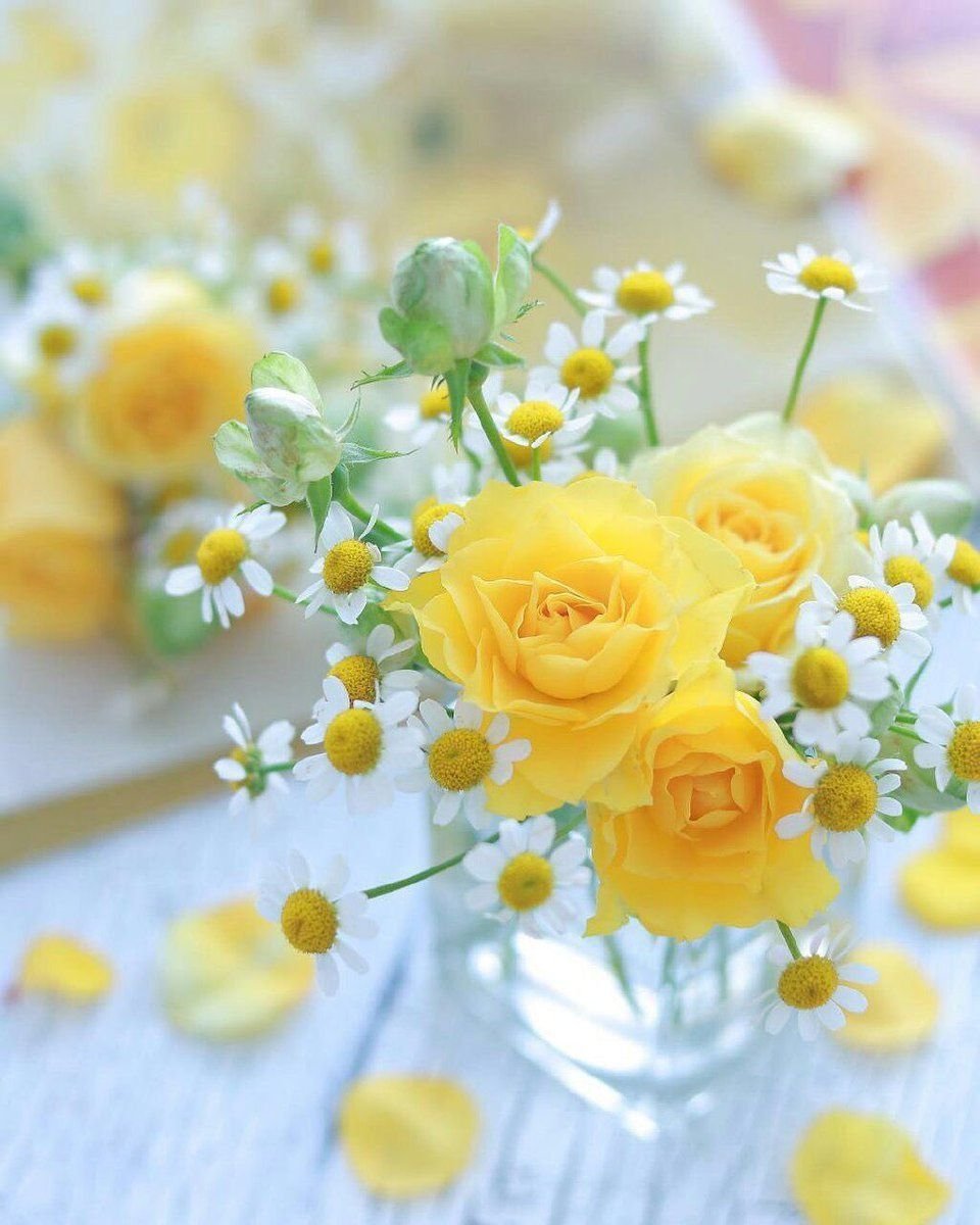 Желтое доброе утро картинки. Красивые желтые цветы. Нежные цветочки. Цветы в желтых тонах. Утро в желтых тонах.
