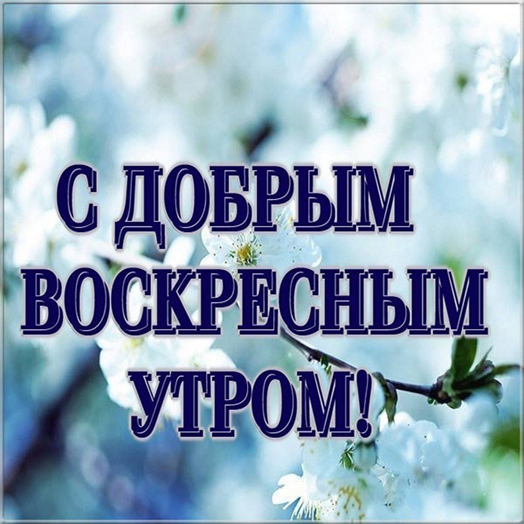 Доброе воскресное утро в прозе