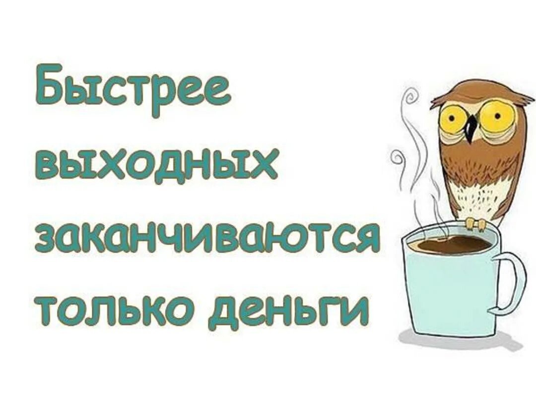 Доброе утро воскресенье картинки прикольные смешные